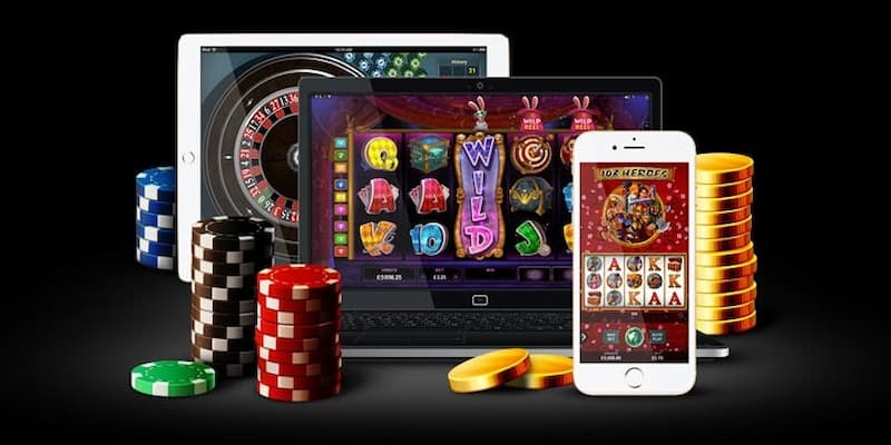 4 bước truy cập DG Casino